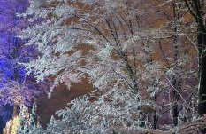 Apartament u Joli - Foto 33