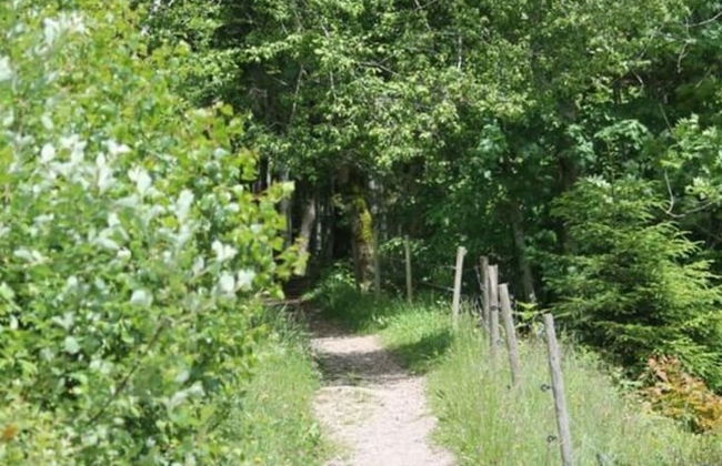 Haus Hiller Comfortable Holiday Residence - Photo 20