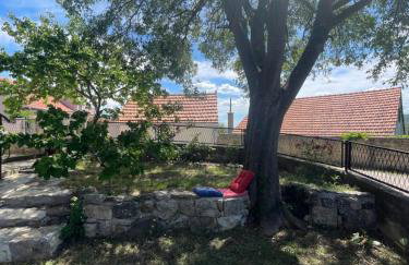 NEW - House KoStella - Drniš - Foto 32