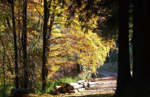 Fachwerkliebe Ornes 2 - Foto 32