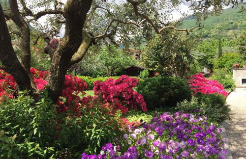 Vittoria Residence - Foto 76