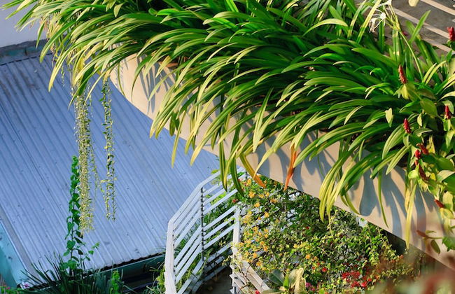 CityHouse - CityOasis - Foto 57