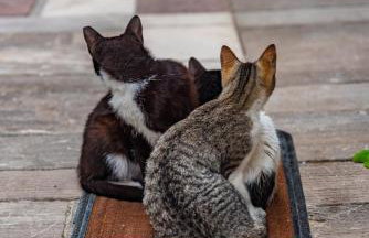 KrinesGReece - Foto 62