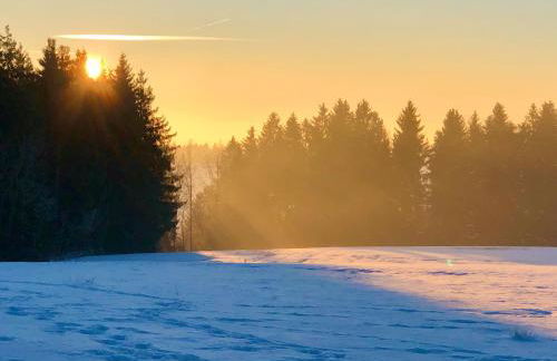 Pfaffensteghof - Foto 18