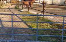 Ferienwohnung Halle/Lettin - Foto 14