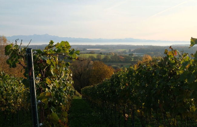 Holiday Apartment Feel-good Time - Photo 16