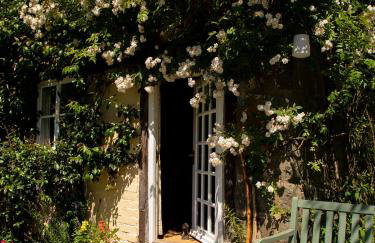 Dolgenau Cottages - Foto 30