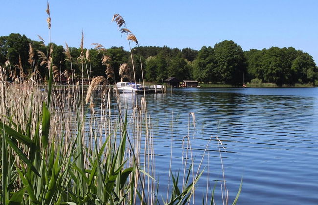 Ferienhaus am Oase am Vilzsee - Photo 37