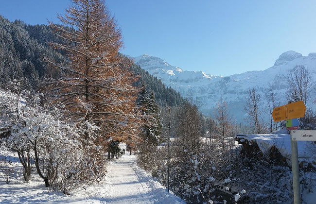 Chalet Flöschhorn - Foto 13