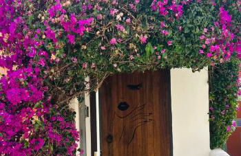 Casa Klod Ibiza - Foto 22