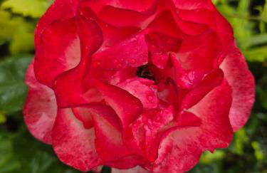 Ferienwohnung für Naturfreunde - Foto 18