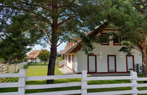 Greyówka dom kryty strzechą w Gardna Park - Foto 4