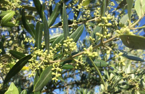 House in Nature - Foto 81