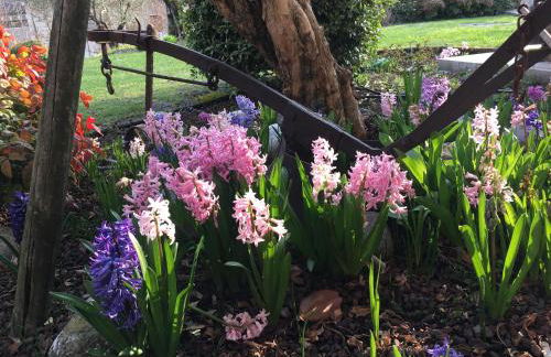 Casa Rebellato - Foto 8