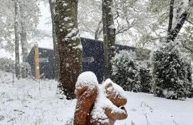 The Squirrel - Foto 26