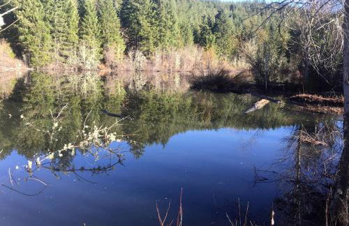 Rustic Cabin Rental in a Wild Meadow near Crater Lake National Park, Oregon - Photo 6