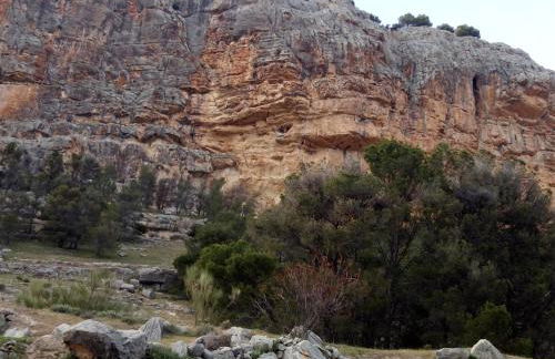 Casa Rural Cueva El Sauce - Foto 25