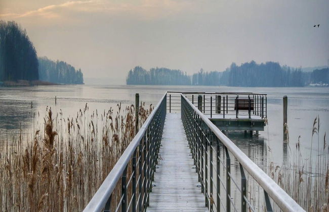 Holiday Homes in the Bad Saarow Castle Park, Bad Saarow - Foto 72