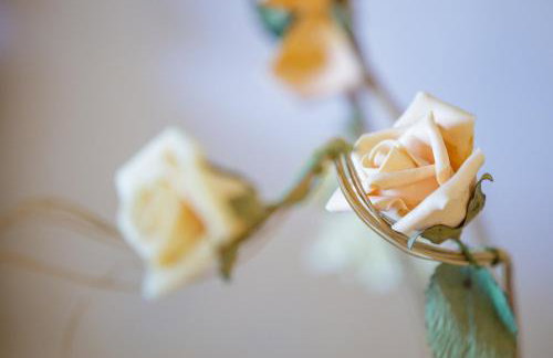 Gold n Blu Petalidi - Foto 14