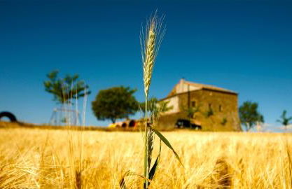 Masia Manonelles - Foto 12