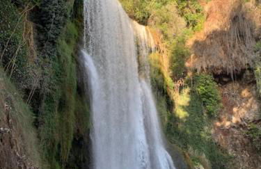 Monasteriohome Apto3 - Photo 9