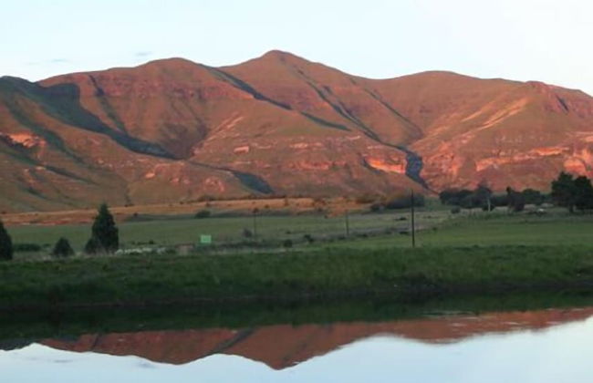 Groenhoek Game and Guest Farms - Foto 57