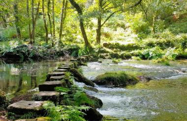 Casa da Rapadoira - Foto 30