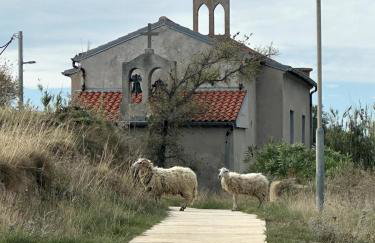 Robinson Crusoe Island Apartment - Foto 5