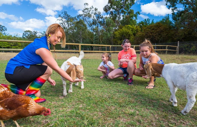 BIG4 Adventure Whitsunday Resort - Photo 74