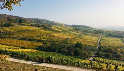 Ferienloft in der blauen Scheune - Foto 2