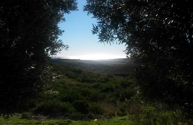 Finca Baeza Flores - Photo 17