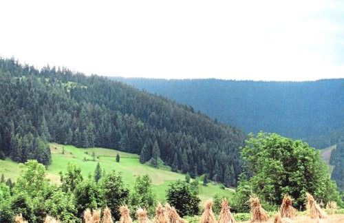 Gospodarstwo Agroturystyczne Watra - Foto 49