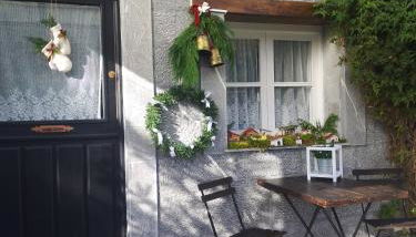 El Rinconin de Degu - Photo 3