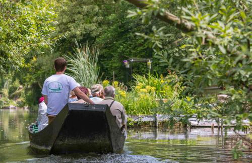 Aux Trompettes Violettes - Foto 40