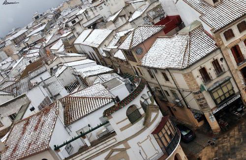 La Casa del Alfarero - Premio Andalucia de Artesania - Foto 70