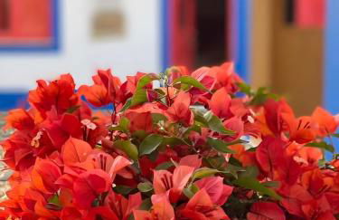 Baobab Moz Lodge - Foto 13