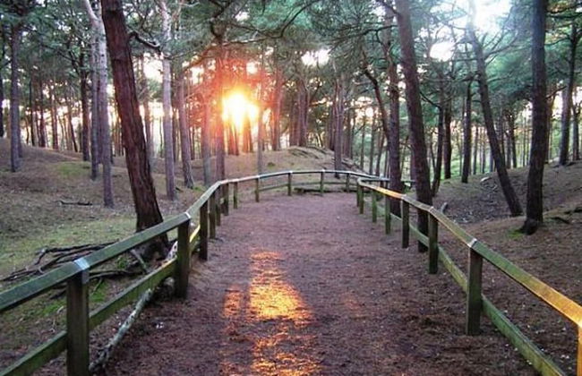 Squirrel Hideaway in Formby, Liverpool - Foto 15