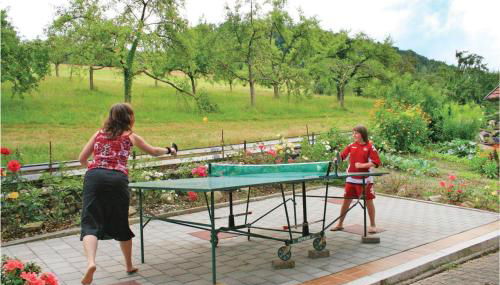 Beautiful Apartment In Welschensteinach - Foto 4, Garden