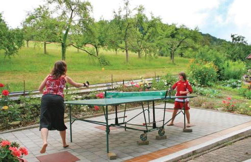 Beautiful Apartment In Welschensteinach - Foto 4