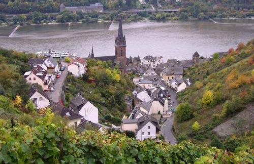 Weingut Theodor Nies - Foto 20