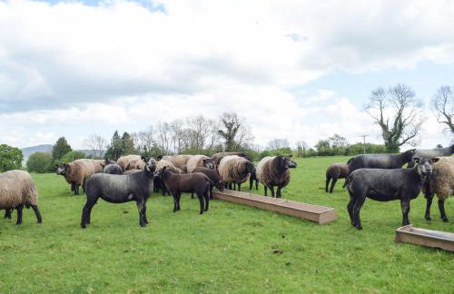 The Larches - Photo 23