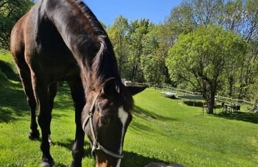 La Masia del Batlle - Photo 54