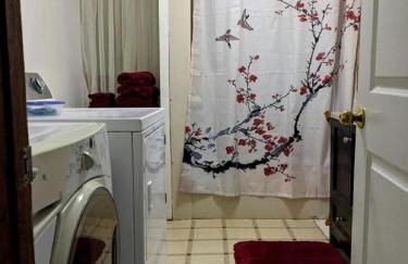 Vintage Cabin Rental near Tippy Dam in Manistee National Forest, Michigan - Foto 11