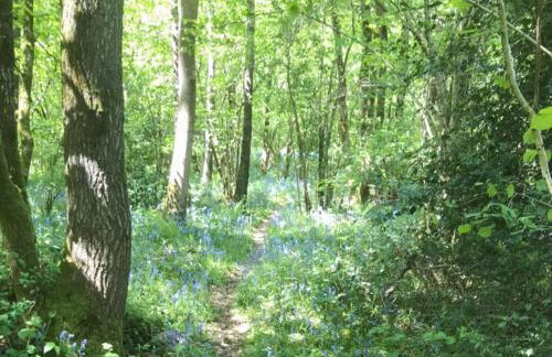 Oak Lodge - Uk13433 - Photo 10