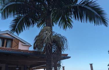 Fantatic Holiday House - Foto 10