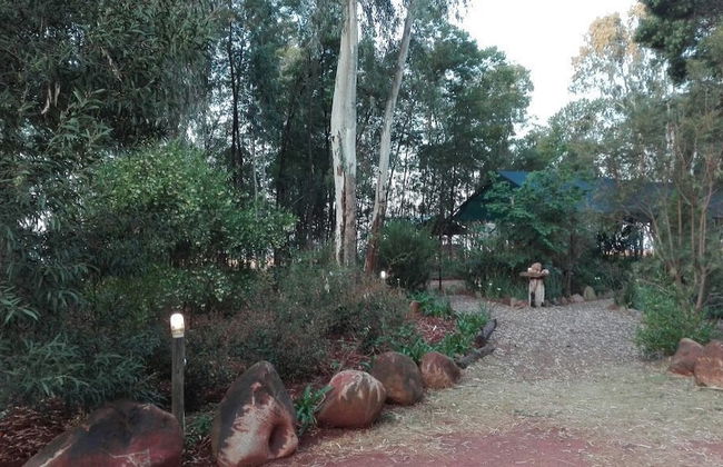 Woodland Gardens - Photo 6