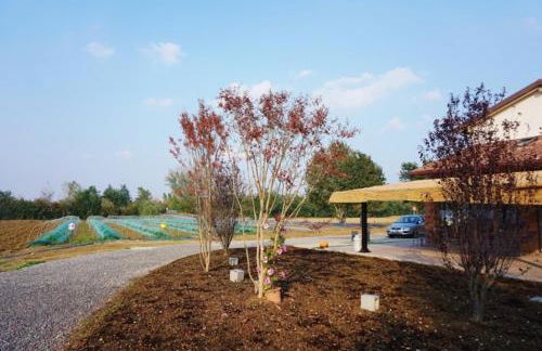 agriturismo campogrande - Foto 27