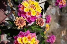 vistas a mar, en paraje natural - Foto 65