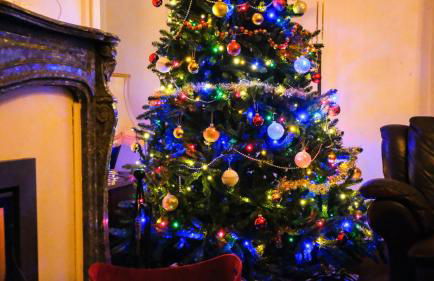 Private Castle with Park - Château Guillermo - Foto 63