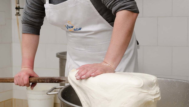 Atelier de préparation de mozzarella à Vico Equense - Photo 2, Le caillé qui servira à préparer la mozzarella
